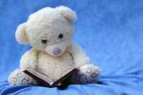 white teddy bear reading book